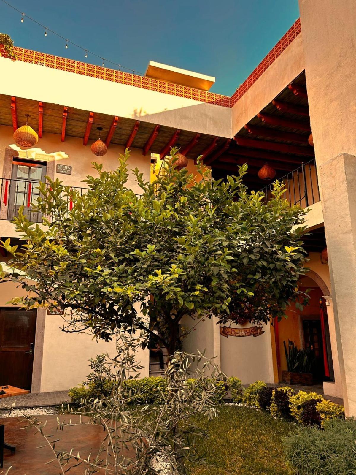 Bito'S Hotel Boutique 圣米格尔－德阿连德 外观 照片